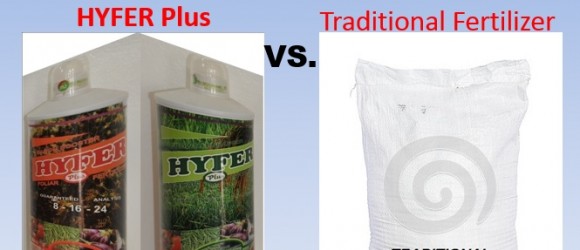 Hyfer Plus Fertilizer Versus Traditional Fertilizer