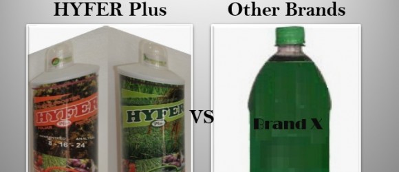 Hyfer Plus Fertilizers Versus Other Fertilizers